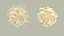 Dendritic Cells