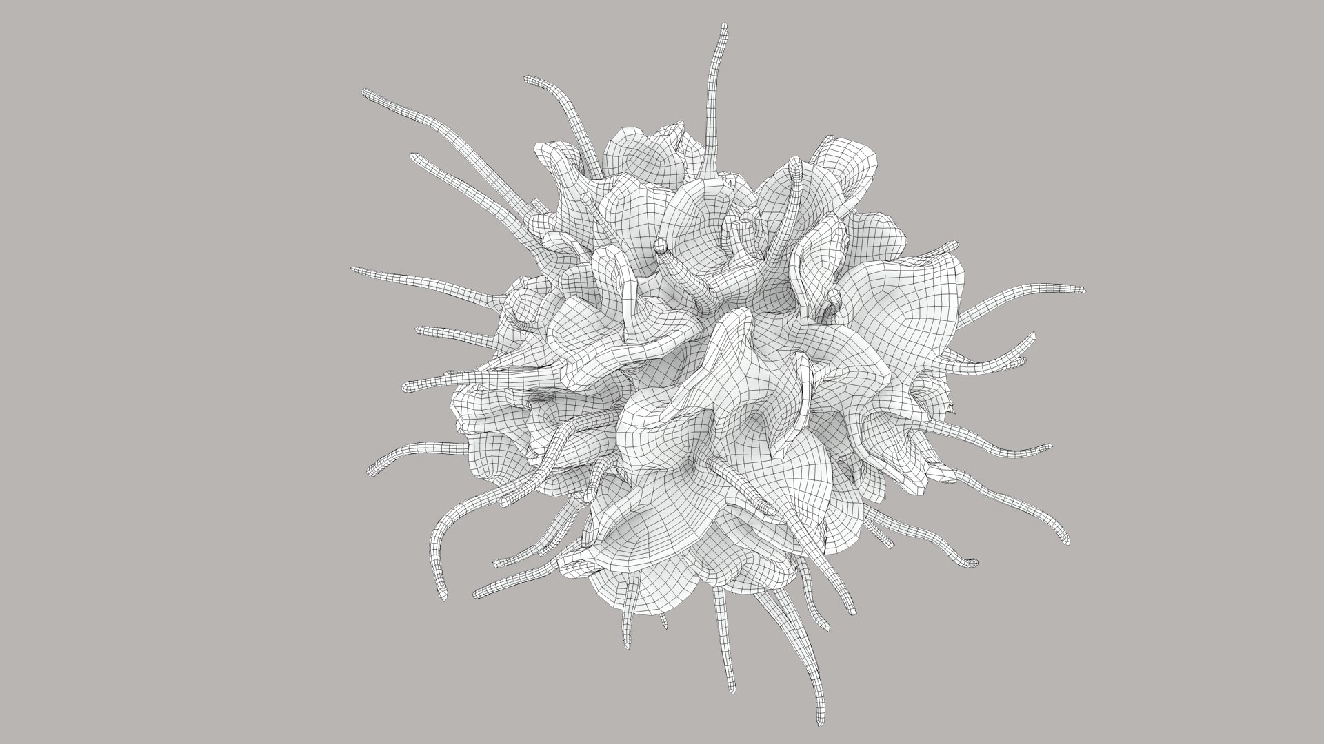 3D Dendritic Cells https://p.turbosquid.com/ts-thumb/Qs/pcrYIu/Un/dendriticcell_out__0014/jpg/1713191749/1920x1080/fit_q87/815ef0ecb67adcefb90c2439183b7d432ffda932/dendriticcell_out__0014.jpg