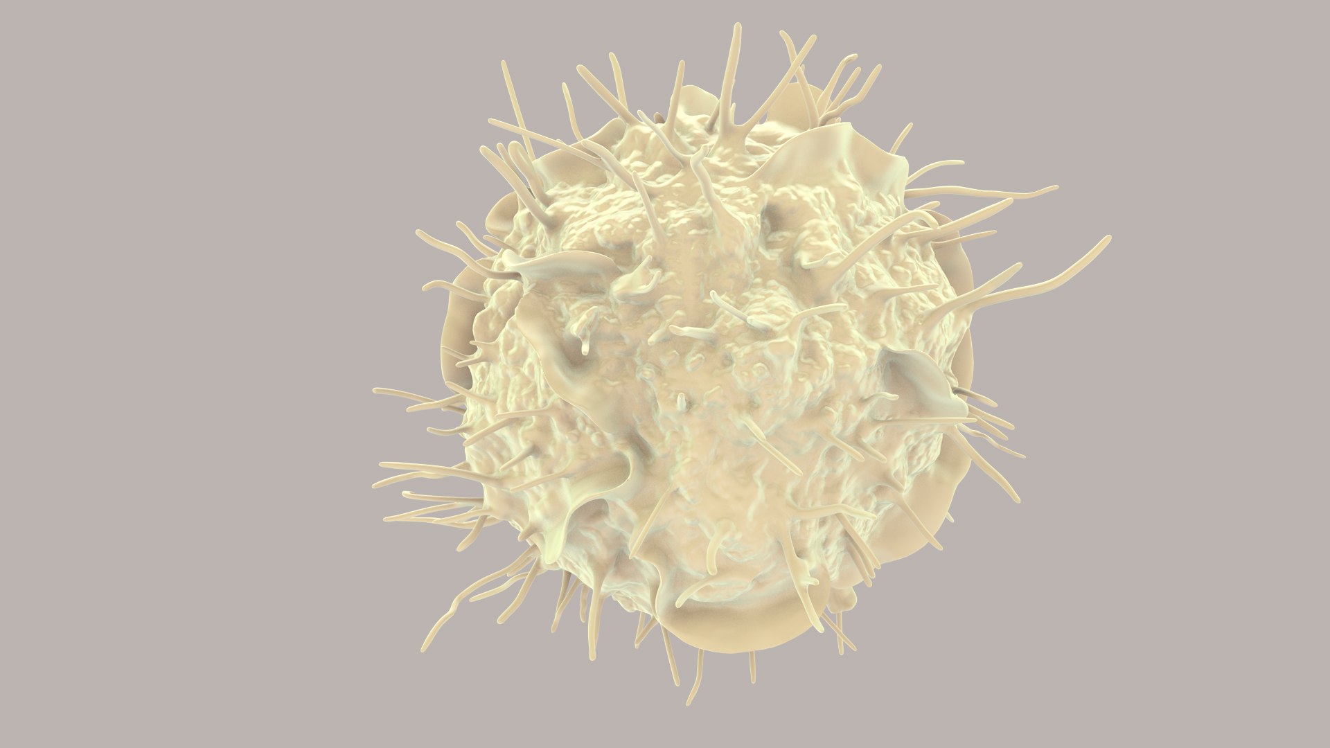 3D Dendritic Cells https://p.turbosquid.com/ts-thumb/Qs/pcrYIu/mu/dendriticcell_im_0018/jpg/1713190573/1920x1080/fit_q87/1fcc7017604c47296d1234ef1f1f57a8c94a27a0/dendriticcell_im_0018.jpg