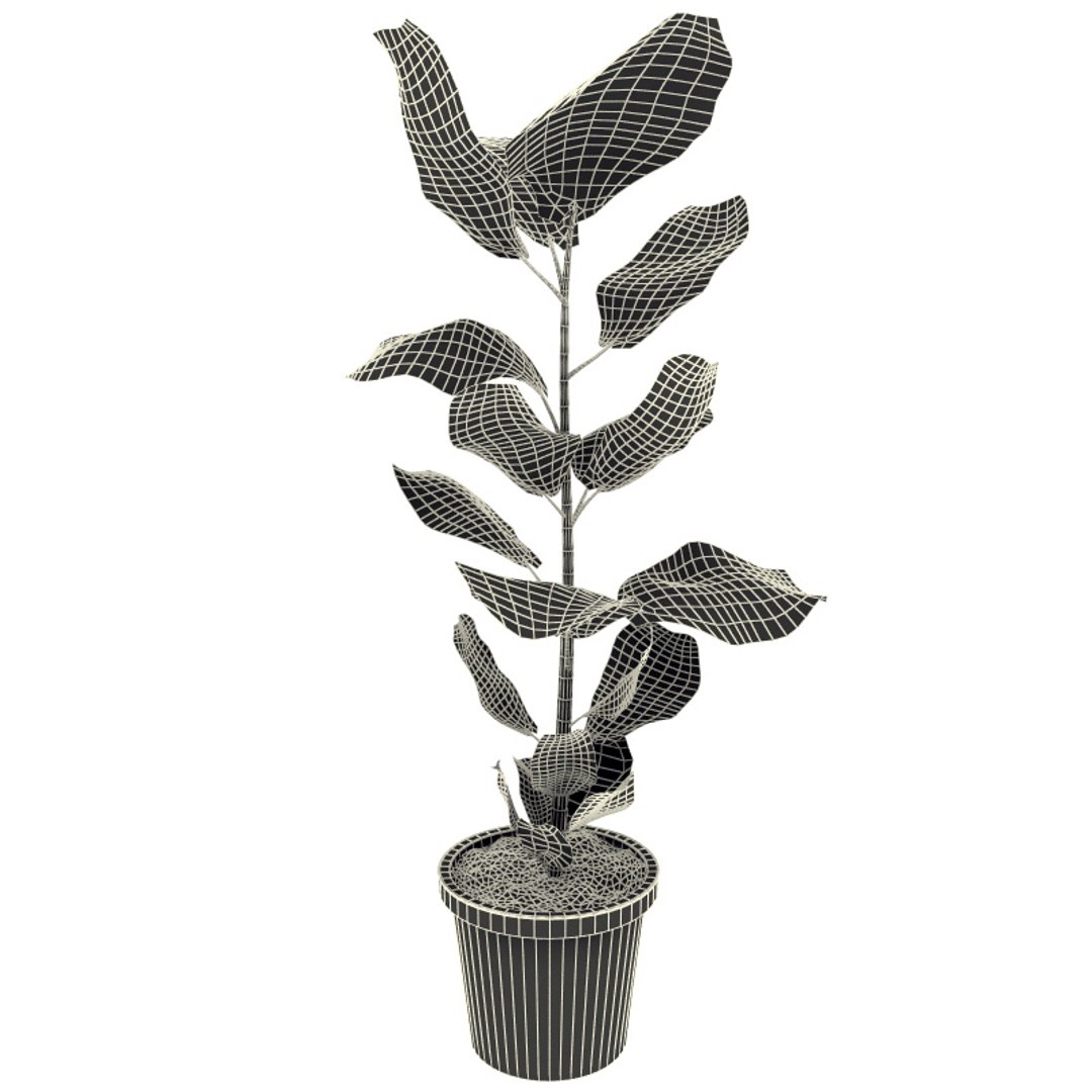 interior plants v4 3d model https://p.turbosquid.com/ts-thumb/Qs/sMSEKW/XfrwBKvO/interior_plants_collection_v4_38/jpg/1266356183/1920x1080/fit_q87/9a6994986654ca8af8287b92c243537baa87a4d7/interior_plants_collection_v4_38.jpg