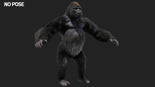 Mountain gorilla rigged 3D model - TurboSquid 1489404