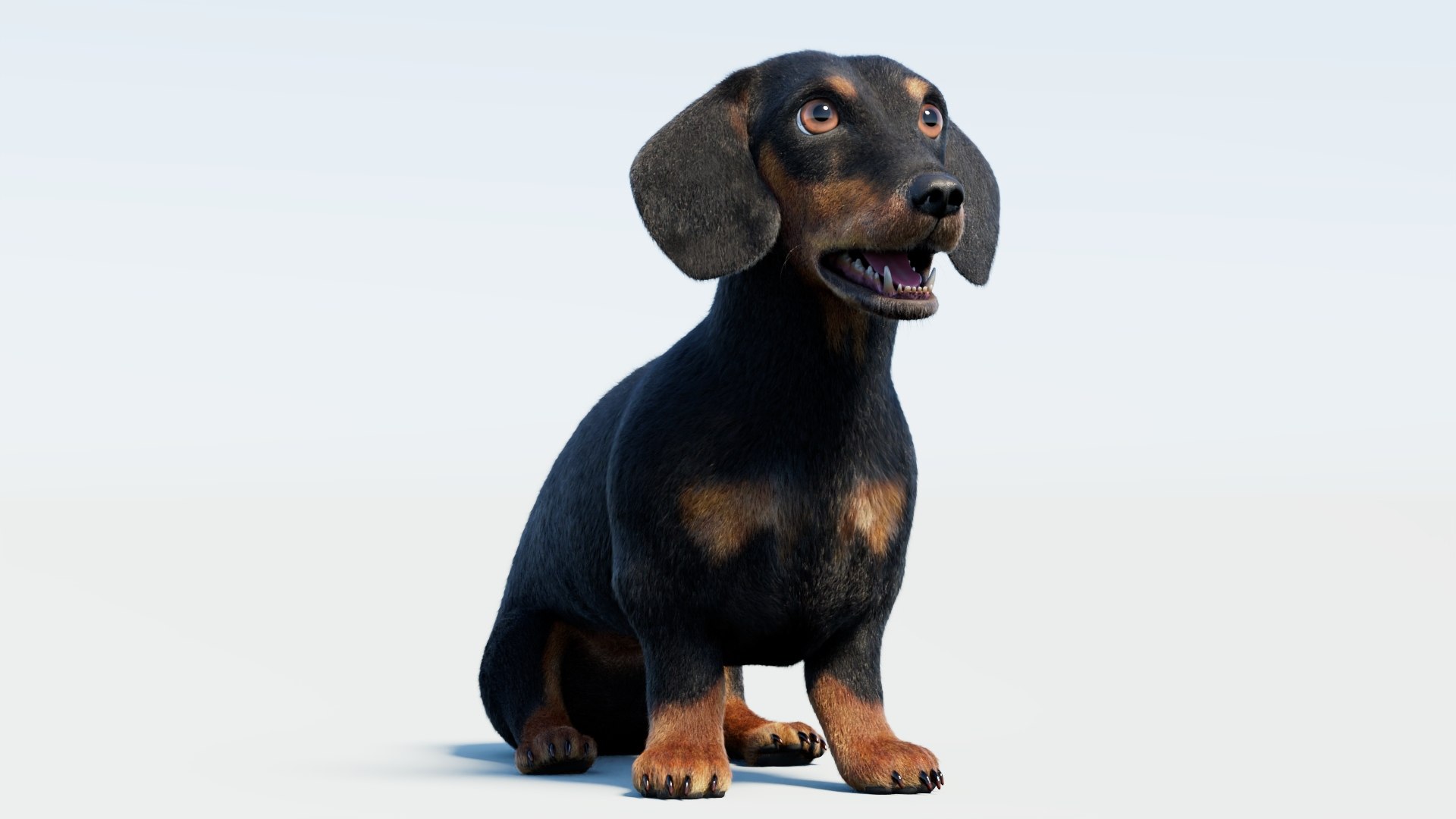 Animated Black Dachshund 3D Model Fur 3D model https://p.turbosquid.com/ts-thumb/Qt/Gu2q5X/7p/animatedblackdachshunddog3dmodel07_/jpg/1786193030/1920x1080/fit_q87/87c0fc0d8a105fb31dc35e1f35b488841e3cf264/animatedblackdachshunddog3dmodel07_.jpg