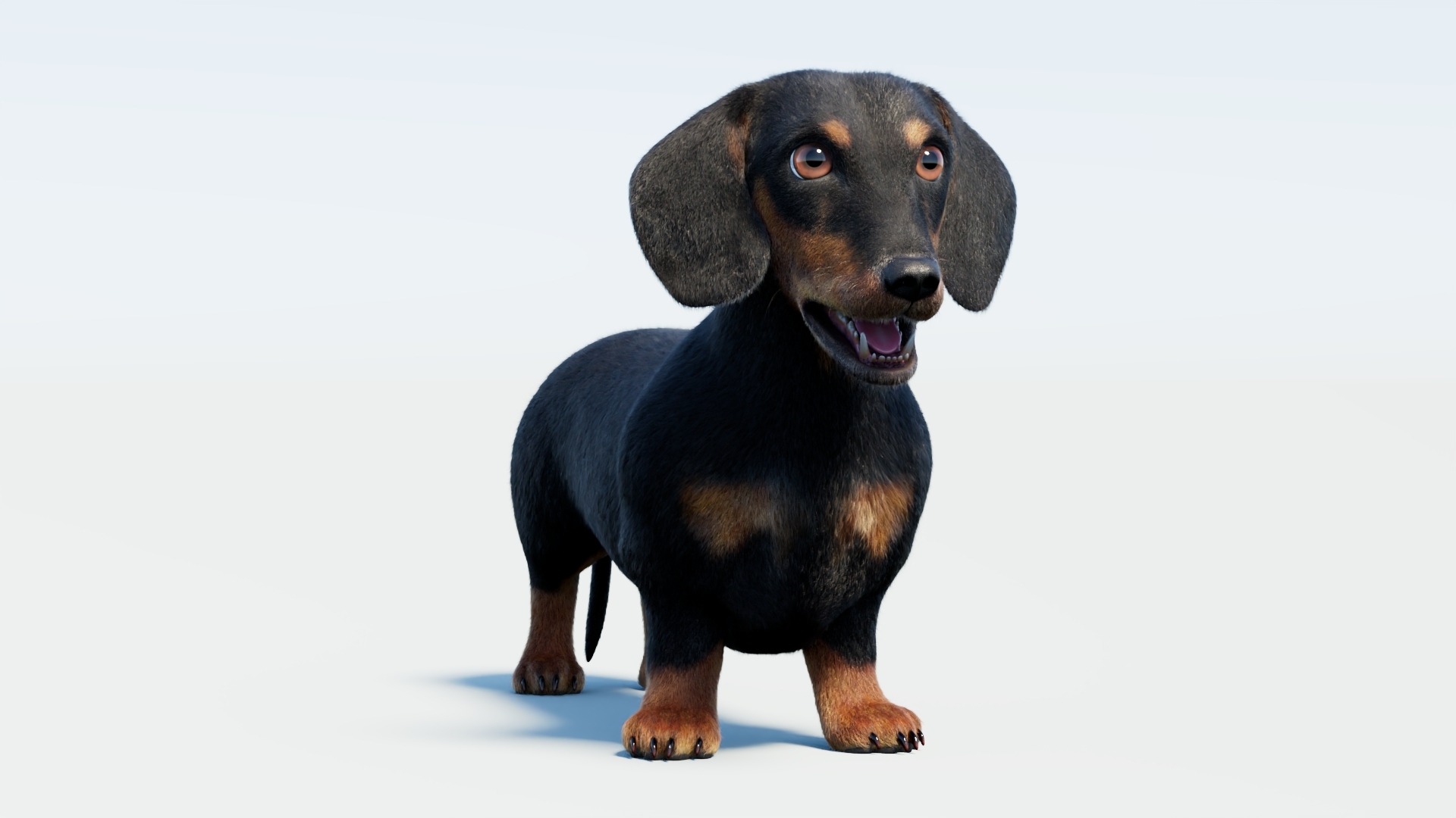 Animated Black Dachshund 3D Model Fur 3D model https://p.turbosquid.com/ts-thumb/Qt/Gu2q5X/Jq/blackdachshund3dmodel360/jpg/1786193038/1920x1080/turn_fit_q99/6372058c63bacef07120cb161dbe00c0cb44144c/blackdachshund3dmodel360-1.jpg