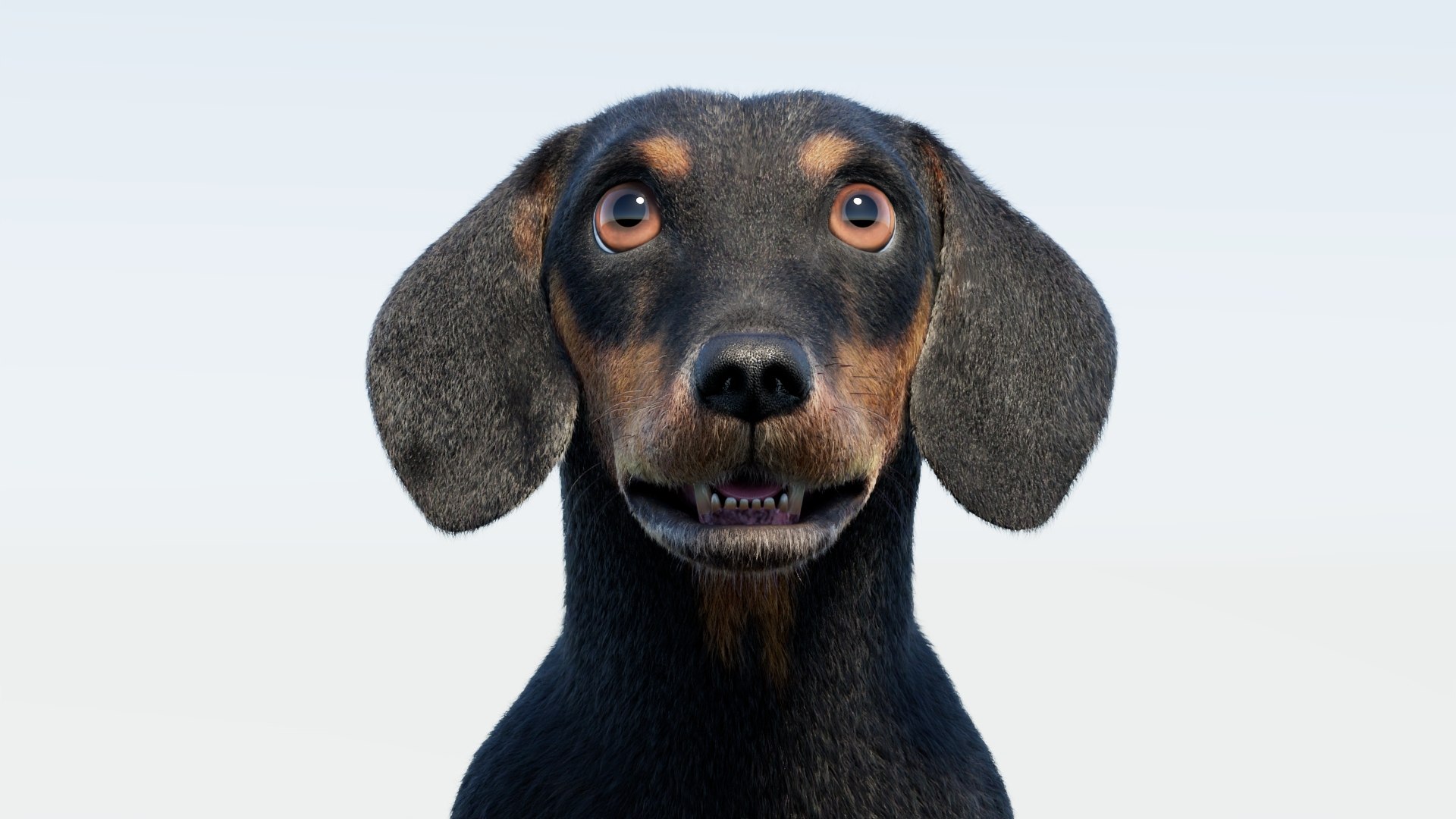 Animated Black Dachshund 3D Model Fur 3D model https://p.turbosquid.com/ts-thumb/Qt/Gu2q5X/Zp/animatedblackdachshunddog3dmodel08/jpg/1786193030/1920x1080/fit_q87/90571a6b75e85766be19f24289a7b3f93fc28d6f/animatedblackdachshunddog3dmodel08.jpg