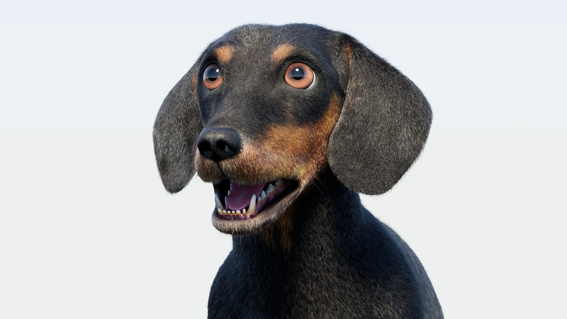 Animated Black Dachshund 3D Model Fur 3D model https://p.turbosquid.com/ts-thumb/Qt/Gu2q5X/nm/animatedblackdachshunddog3dmodel09/jpg/1786193031/1920x1080/fit_q87/7f421e915addcc37fce353a6fe9bc5f2b093cd81/animatedblackdachshunddog3dmodel09.jpg