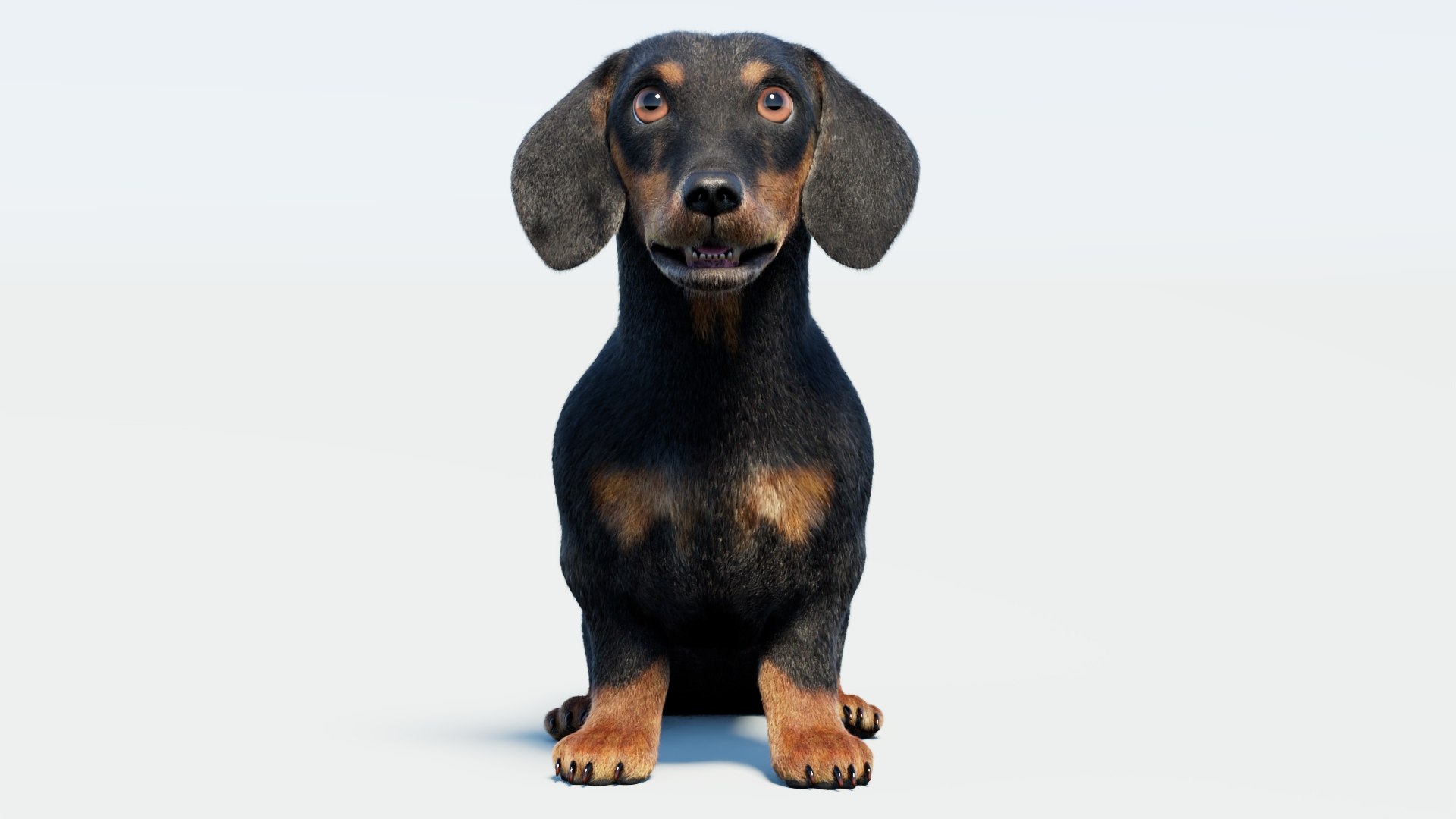 Animated Black Dachshund 3D Model Fur 3D model https://p.turbosquid.com/ts-thumb/Qt/Gu2q5X/zI/animatedblackdachshunddog3dmodel05/jpg/1786193029/1920x1080/fit_q87/e98c5377febbcf5f8c4cad712b701e91624fad3a/animatedblackdachshunddog3dmodel05.jpg