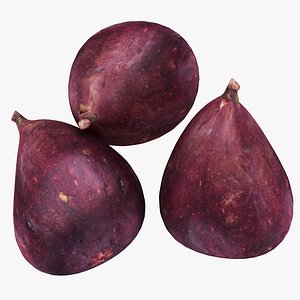 Fig