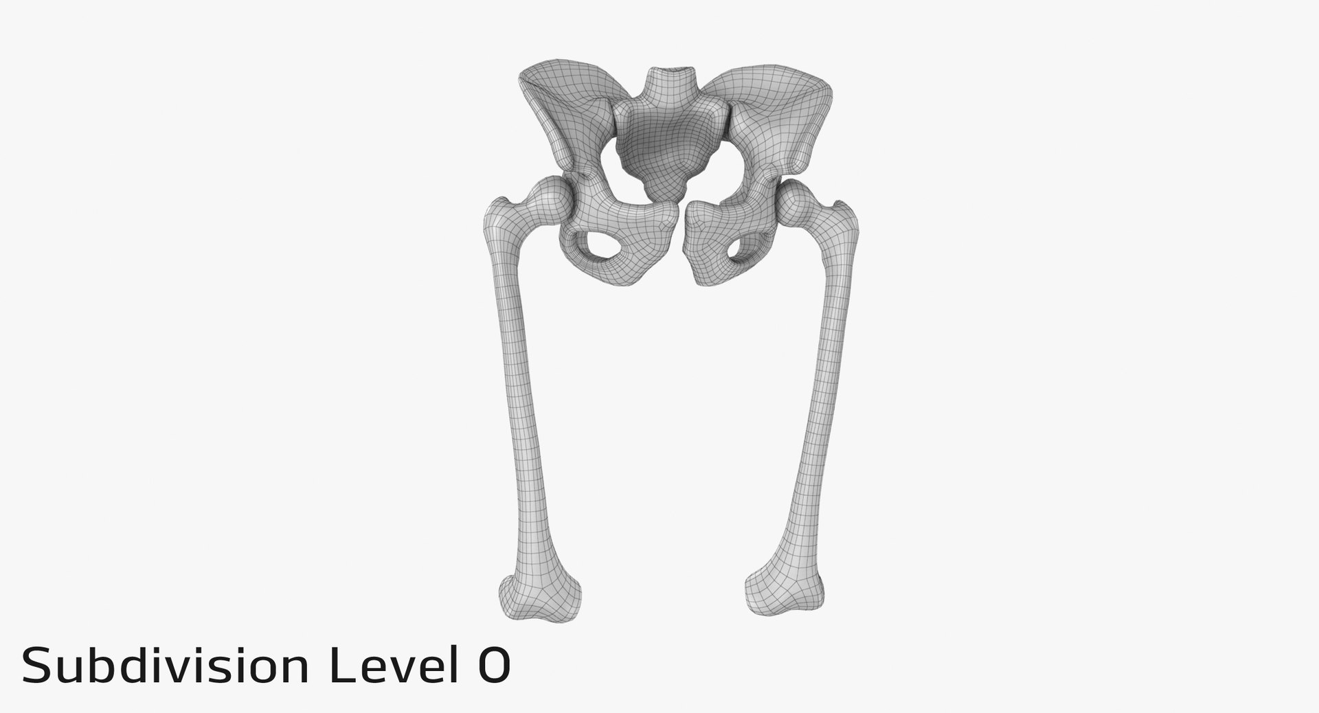 pelvis bones 3D model https://p.turbosquid.com/ts-thumb/Qt/TZhDJE/SNlDkbvX/pevis_sub00001/jpg/1538597021/1920x1080/fit_q87/c170f8a8981c289bd81efef10e8336a8ecd4bc34/pevis_sub00001.jpg