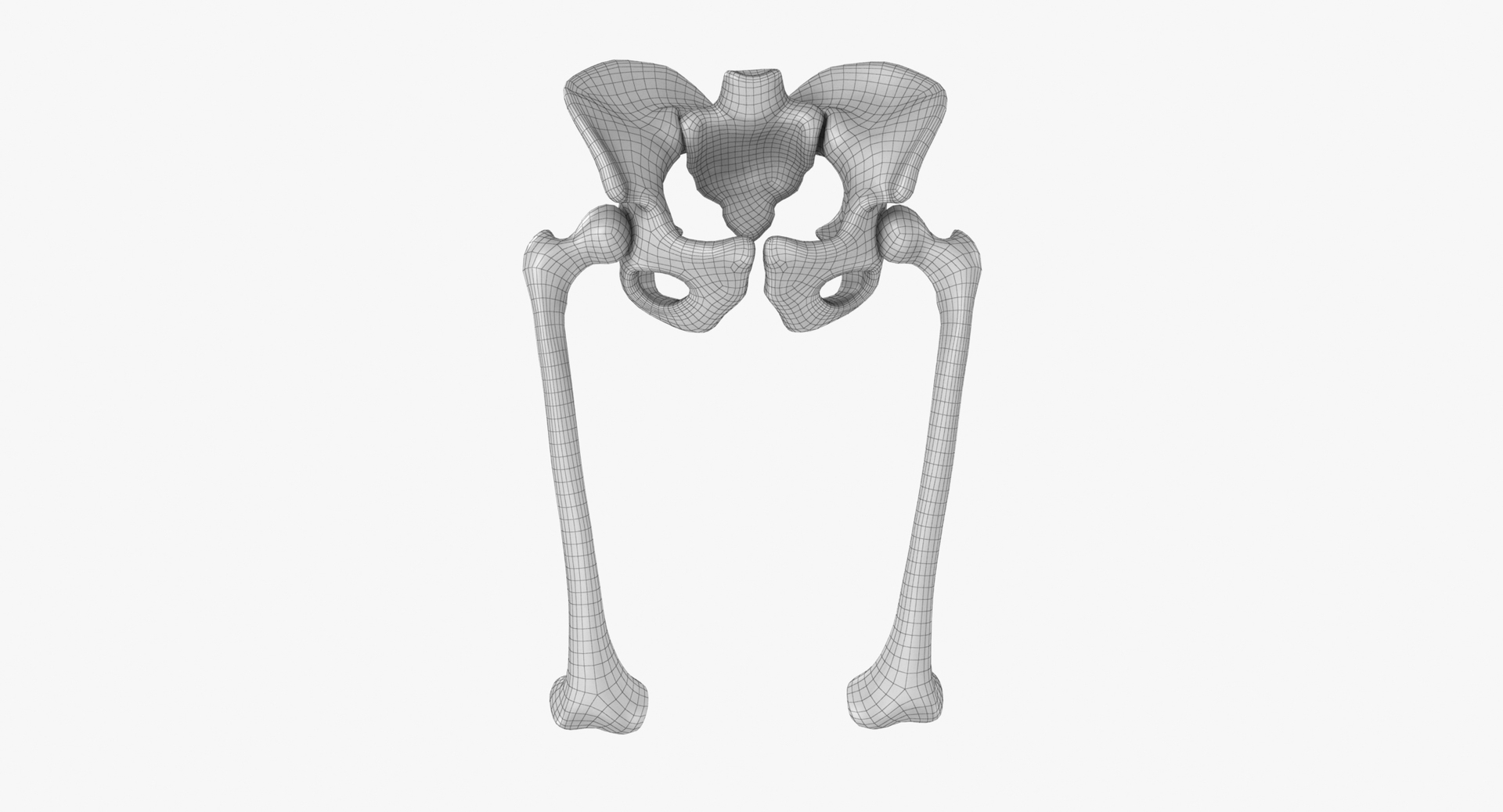 pelvis bones 3D model https://p.turbosquid.com/ts-thumb/Qt/TZhDJE/T15PqqZi/pevis_360w/jpg/1538596936/1920x1080/turn_fit_q99/49fdfcf37fe5631c171b955f4c653b3e8e7a7dde/pevis_360w-1.jpg