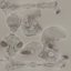 The Pelvis Bones
