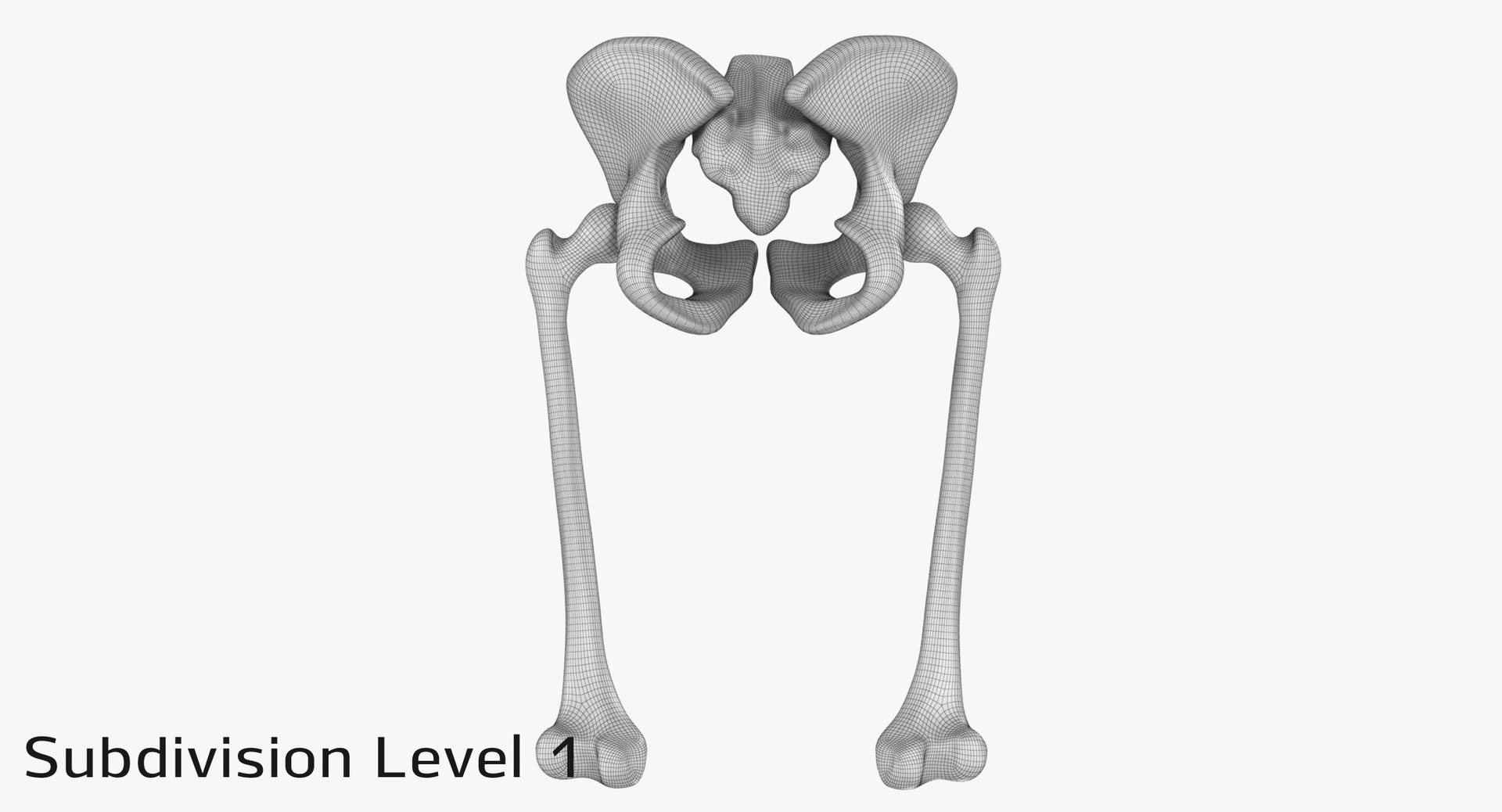 pelvis bones 3D model https://p.turbosquid.com/ts-thumb/Qt/TZhDJE/hPenyDfi/pevis_subd10003/jpg/1538597030/1920x1080/fit_q87/48d5892f011b00a4a99608ab4640ad5a9c165595/pevis_subd10003.jpg
