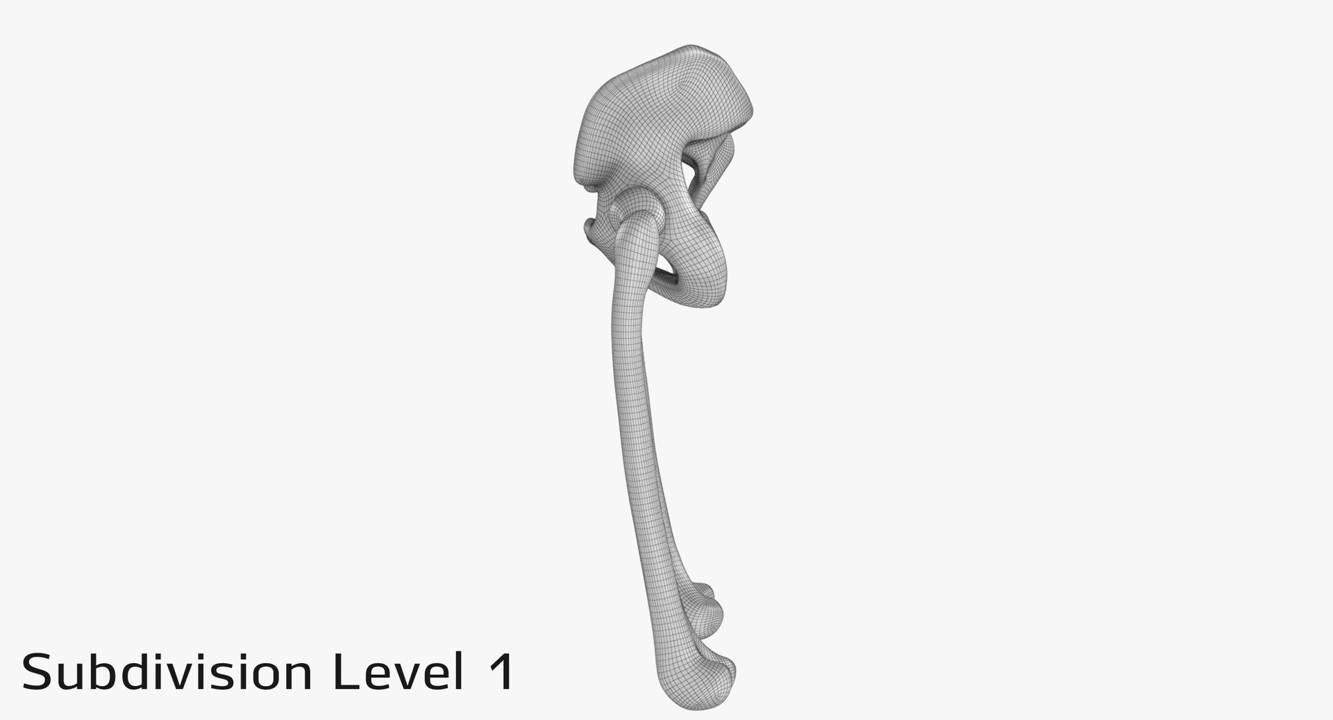 pelvis bones 3D model https://p.turbosquid.com/ts-thumb/Qt/TZhDJE/kt7t78eg/pevis_subd10002/jpg/1538597026/1920x1080/fit_q87/b8b4d75c3c0fdf54ef26951562d6c1cf00c5344d/pevis_subd10002.jpg