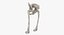 The Pelvis Bones