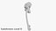 The Pelvis Bones
