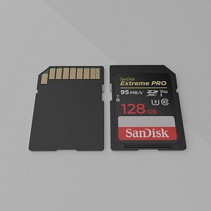 SD Card