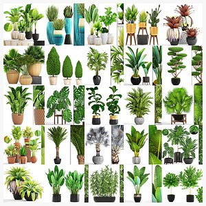 3D model Collection of plants 50 pieces
