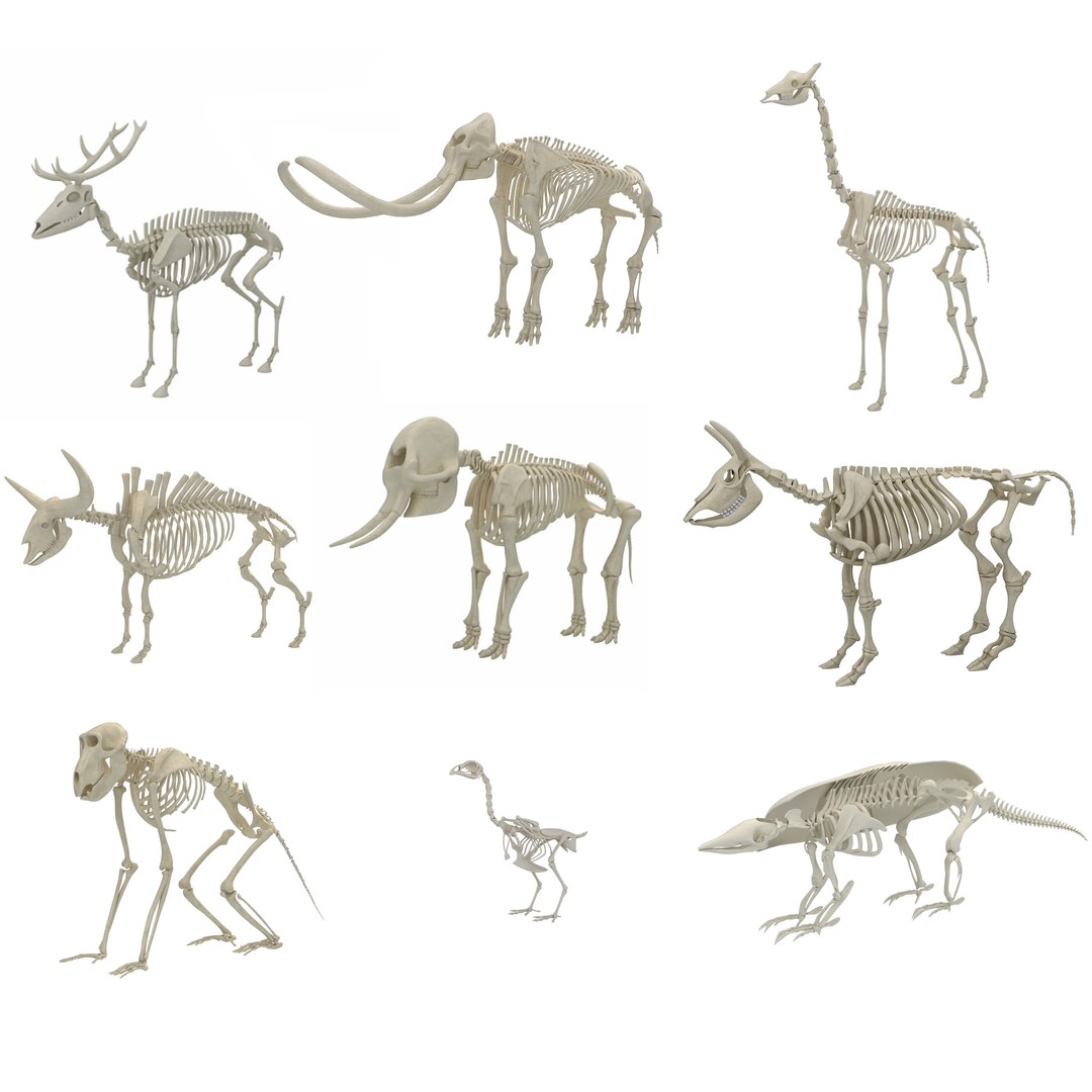 3D 9 armadillo bison https://p.turbosquid.com/ts-thumb/Qt/bouK5S/05/222/jpg/1749205307/1920x1080/fit_q87/9a158ffa49b12c51d4b4a43d391e2f03fdf6c52b/222.jpg