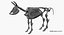 Animal Skeleton 9 in 1