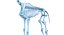 Animal Skeleton 9 in 1