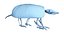 Animal Skeleton 9 in 1