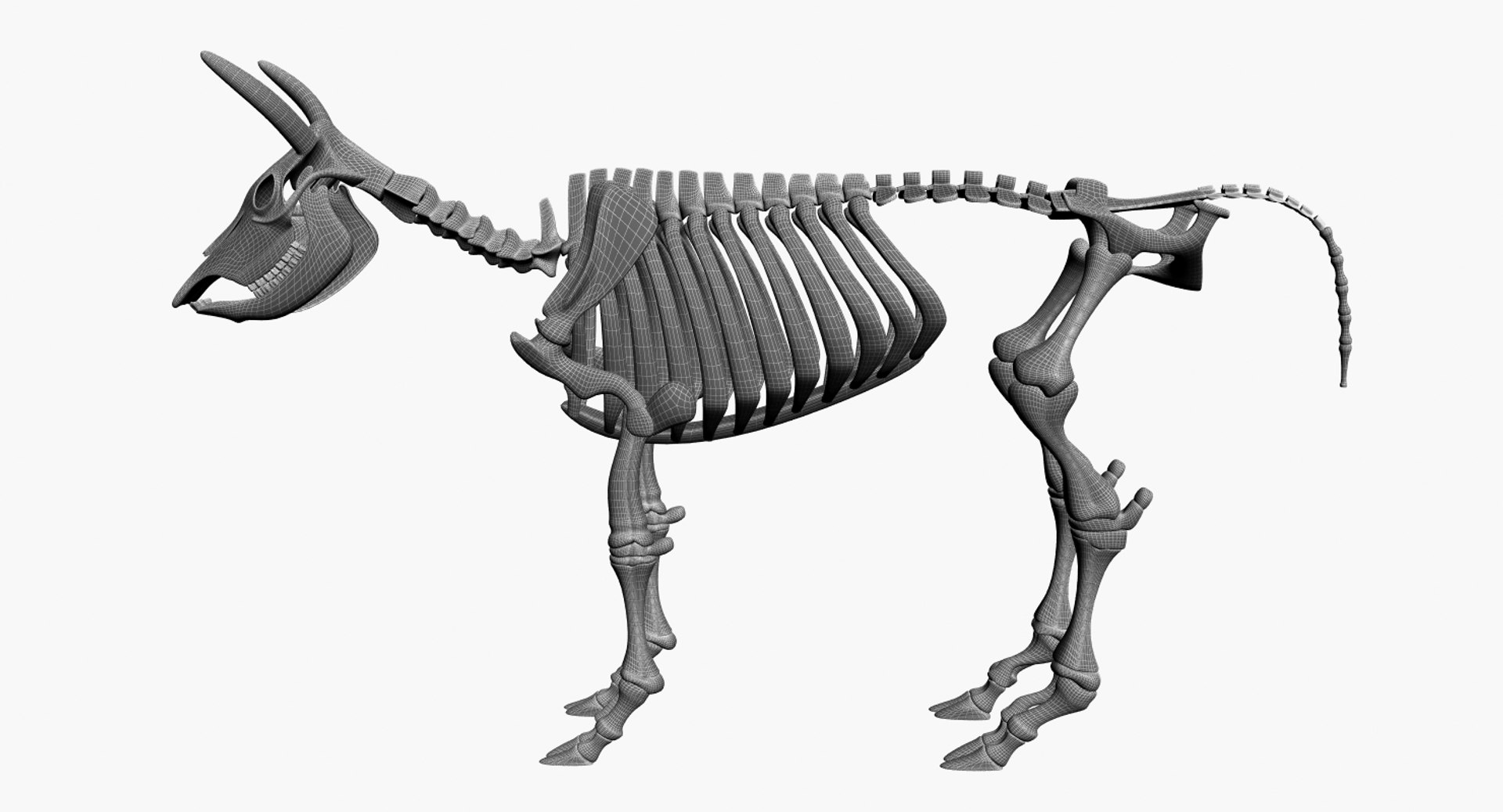 3D 9 armadillo bison https://p.turbosquid.com/ts-thumb/Qt/bouK5S/8mG8MQuC/3/jpg/1547136490/1920x1080/fit_q87/801266c9bb279e2cacde79c32618110e2d3ce692/3.jpg