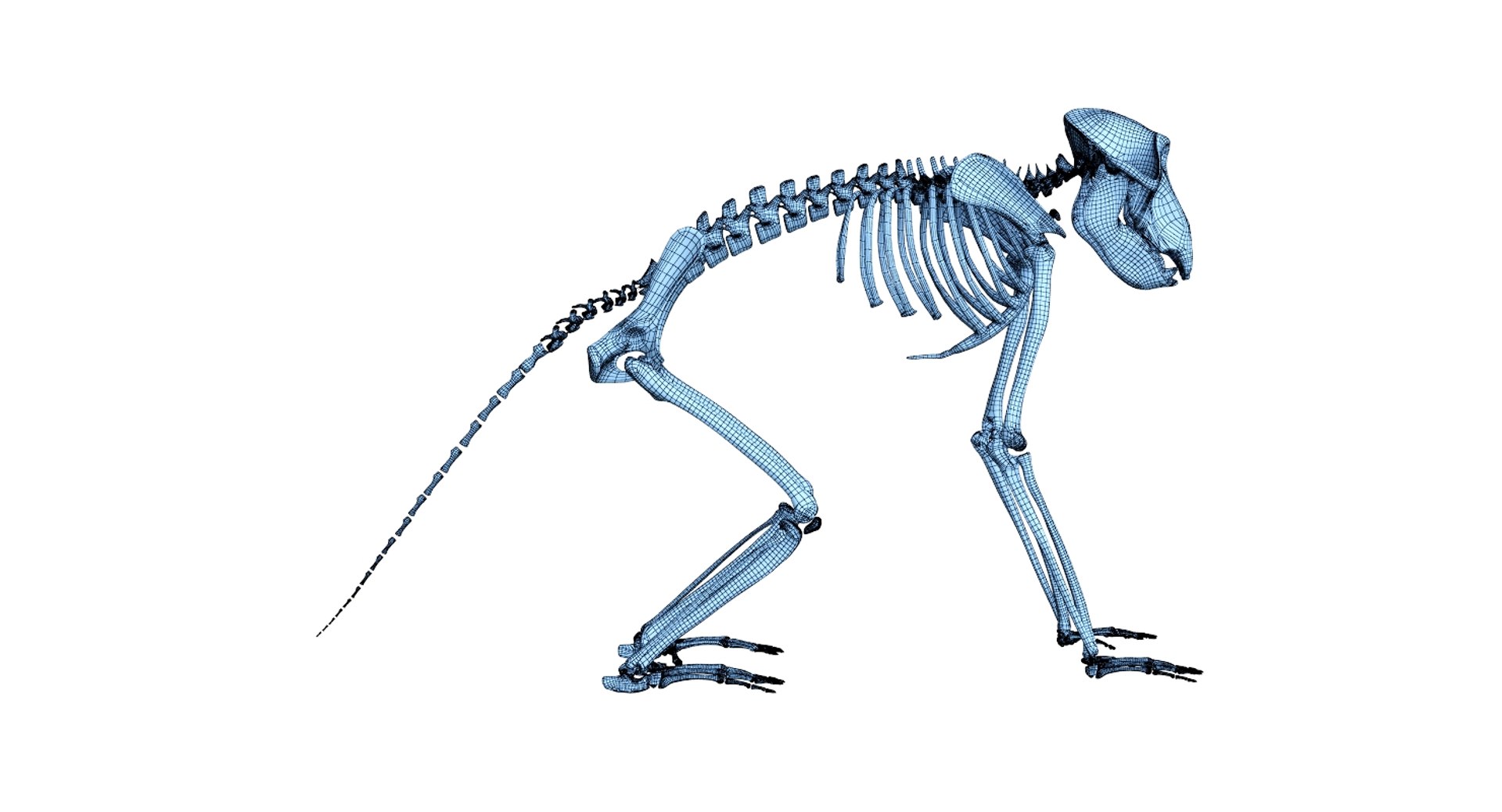 3D 9 armadillo bison https://p.turbosquid.com/ts-thumb/Qt/bouK5S/8v2eOqKZ/net3/jpg/1547136600/1920x1080/fit_q87/eb44f865c40dfff0f9185c6deb3250b709637516/net3.jpg