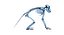Animal Skeleton 9 in 1
