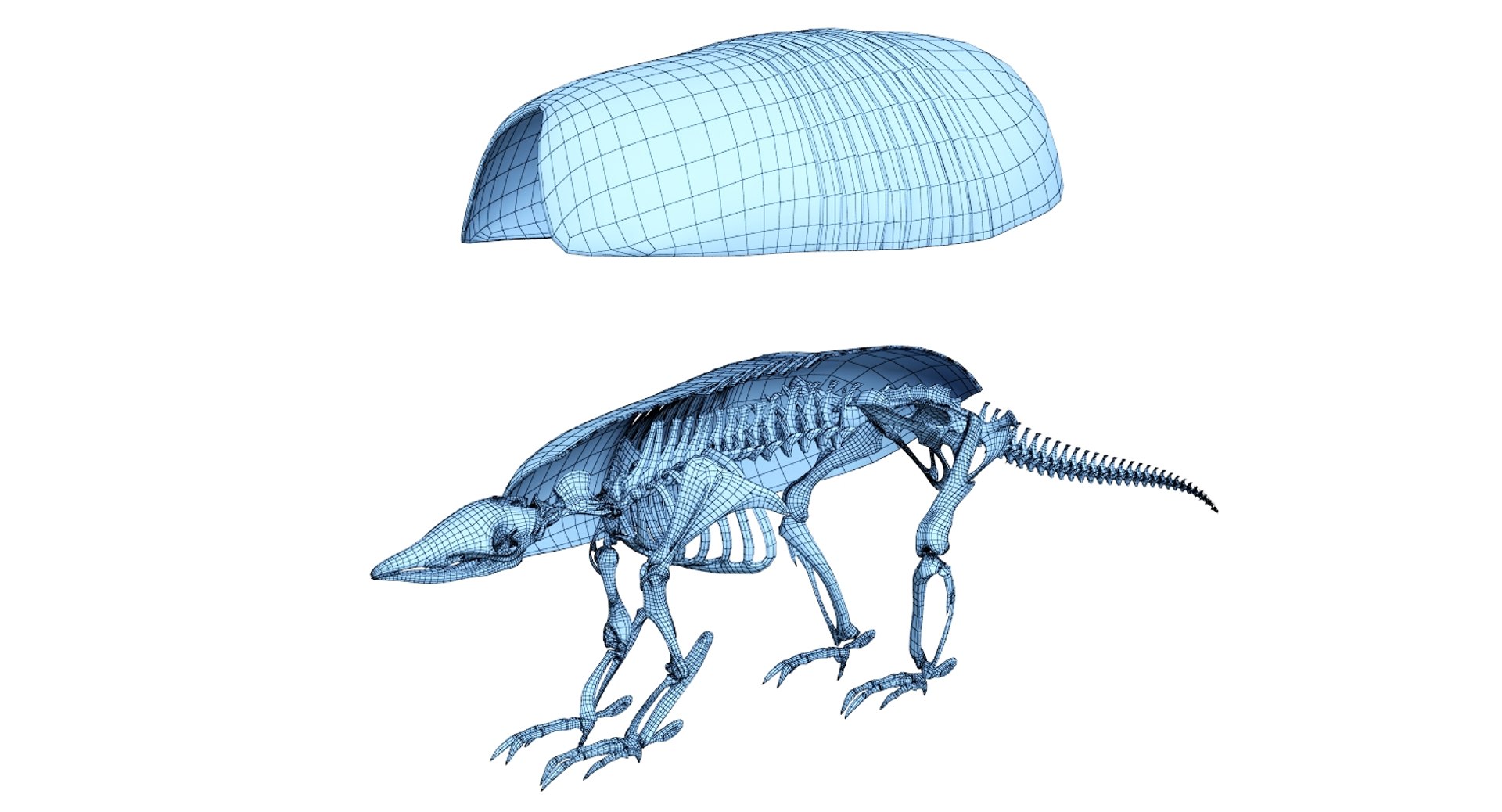 3D 9 armadillo bison https://p.turbosquid.com/ts-thumb/Qt/bouK5S/8vIjysIt/net/jpg/1547136541/1920x1080/fit_q87/9ec7f96426beb12869891dc3381e5be5df105818/net.jpg