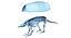 Animal Skeleton 9 in 1