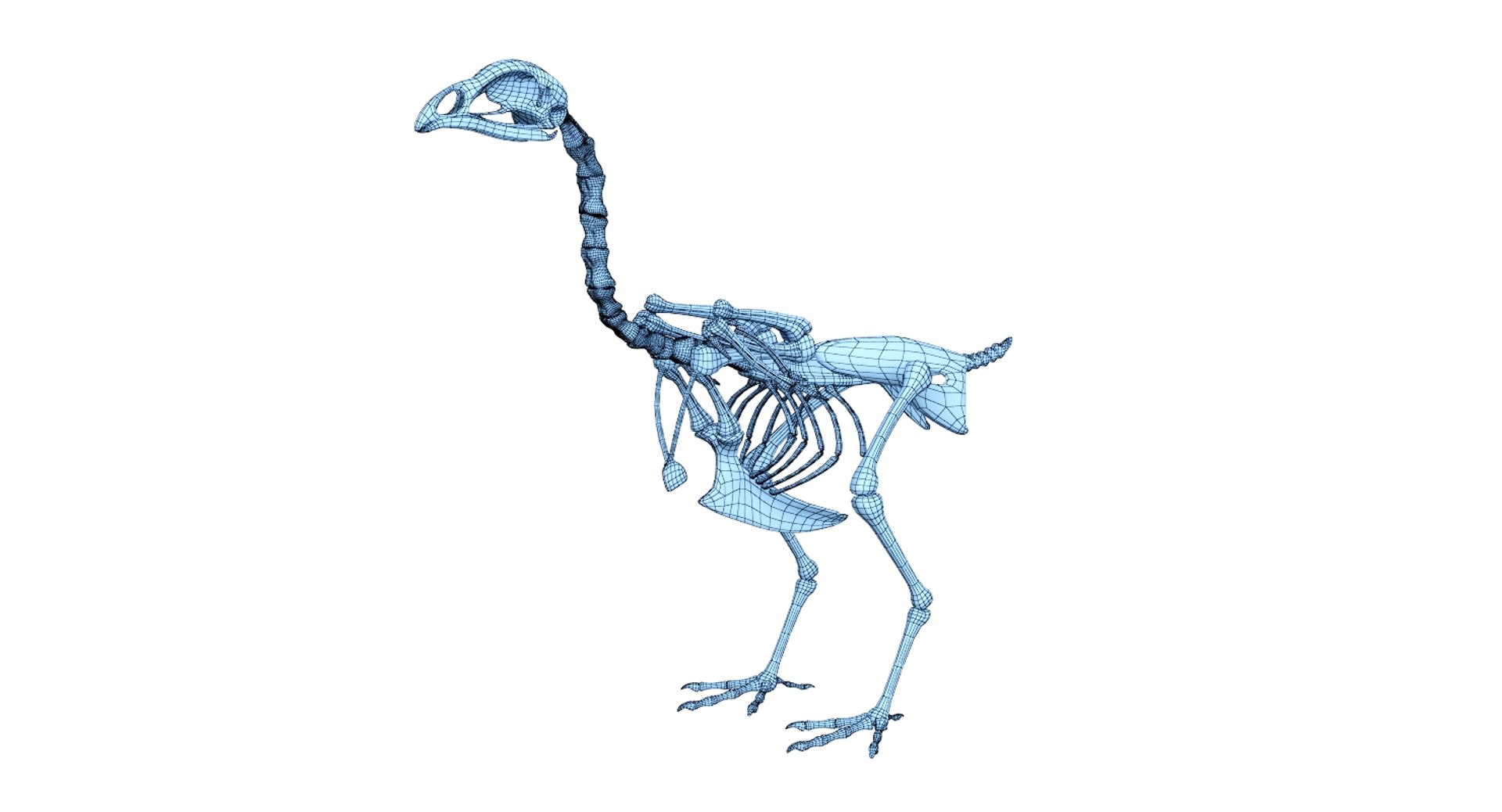 3D 9 armadillo bison https://p.turbosquid.com/ts-thumb/Qt/bouK5S/A2zkYeTs/net1/jpg/1547136620/1920x1080/fit_q87/4e5c946a81ed5d27280a3f23132a08cc36a7d089/net1.jpg