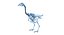 Animal Skeleton 9 in 1