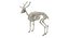 Animal Skeleton 9 in 1