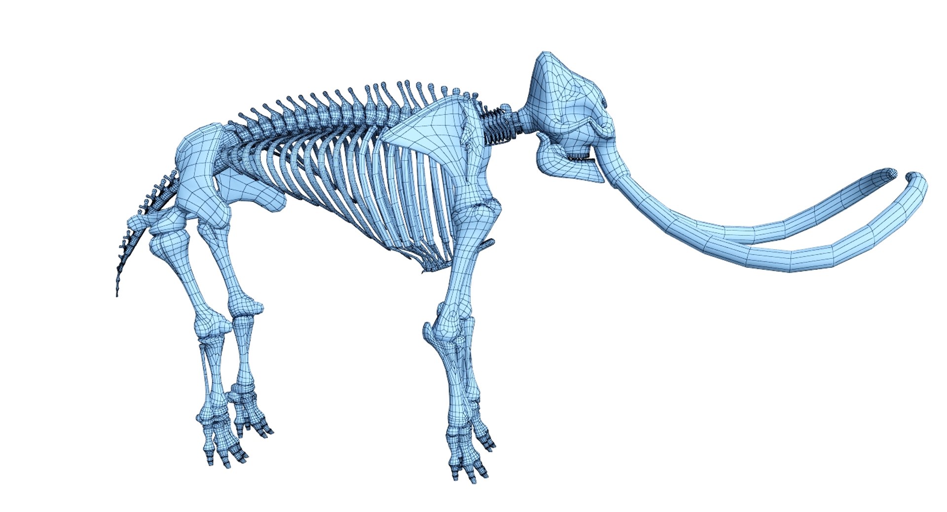 3D 9 armadillo bison https://p.turbosquid.com/ts-thumb/Qt/bouK5S/C8HS668h/net3123/jpg/1547136561/1920x1080/fit_q87/12b9409e6fa94a5b8aaf04a7442b6fe721132c48/net3123.jpg