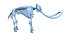 Animal Skeleton 9 in 1
