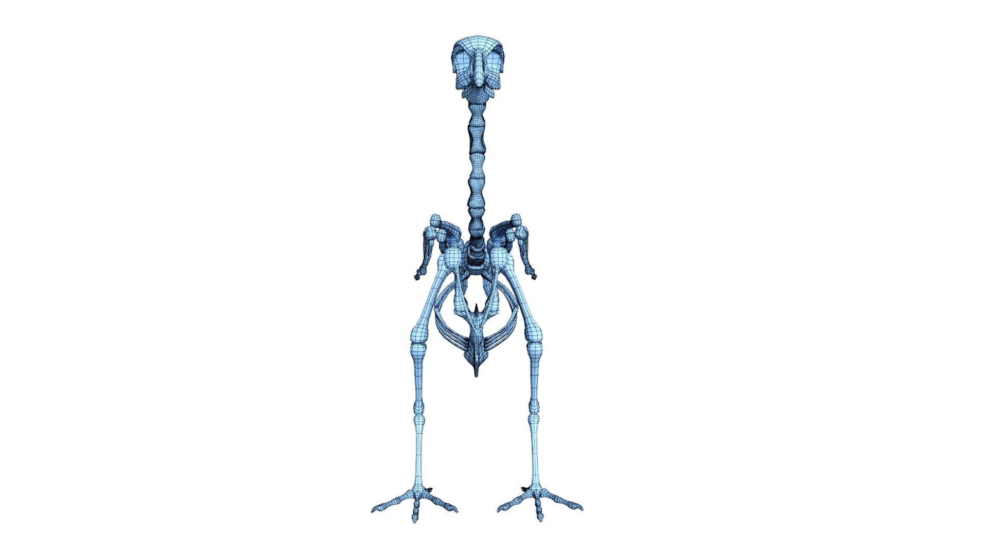 3D 9 armadillo bison https://p.turbosquid.com/ts-thumb/Qt/bouK5S/CaJWYMiM/net7/jpg/1547136620/1920x1080/fit_q87/711c7b59b6917b271c9ea214a172a135416bdcb9/net7.jpg