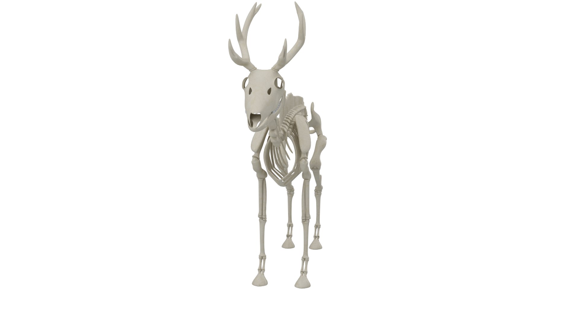 3D 9 armadillo bison https://p.turbosquid.com/ts-thumb/Qt/bouK5S/Ck/04/png/1667381903/1920x1080/fit_q87/0c6a3a9fdd3e64ceedf4bd5ade3abaefd2a72bcb/04.jpg