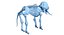 Animal Skeleton 9 in 1