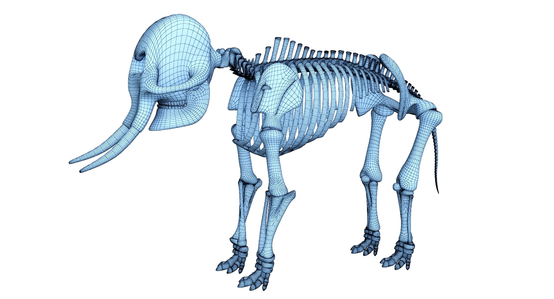 3D 9 armadillo bison https://p.turbosquid.com/ts-thumb/Qt/bouK5S/GMiIosQ1/net1/jpg/1547136511/1920x1080/fit_q87/561dd8be1b9e36e9064e64f7db0aed66449bdfae/net1.jpg