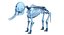 Animal Skeleton 9 in 1