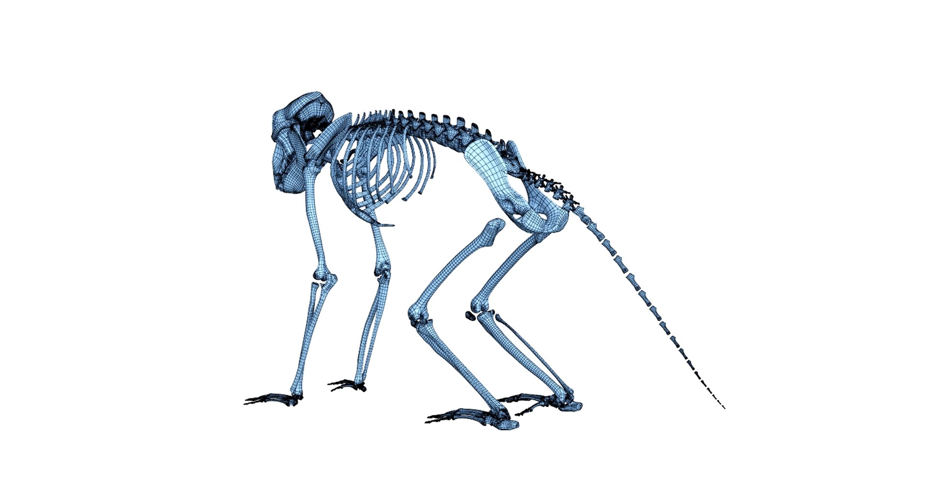 3D 9 armadillo bison https://p.turbosquid.com/ts-thumb/Qt/bouK5S/I16mAXiU/net1/jpg/1547136600/1920x1080/fit_q87/b70ae7b4297f0d86d8b89dc85687ed067bba8d74/net1.jpg