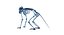 Animal Skeleton 9 in 1