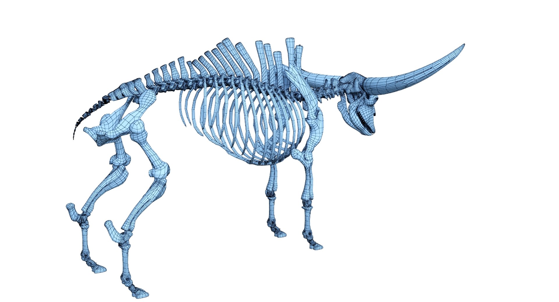 3D 9 armadillo bison https://p.turbosquid.com/ts-thumb/Qt/bouK5S/ILpdb0lK/ne5/jpg/1547136577/1920x1080/fit_q87/727b46e1ed6ae651cd919e147f9e44e33257e6e7/ne5.jpg