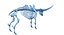 Animal Skeleton 9 in 1