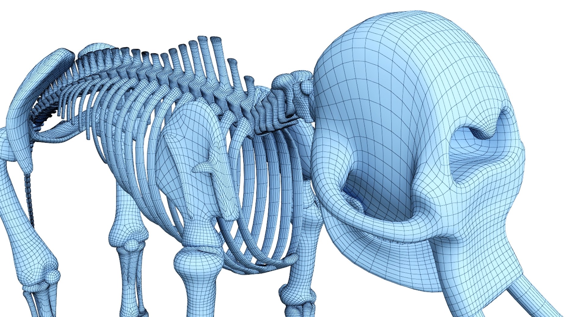 3D 9 armadillo bison https://p.turbosquid.com/ts-thumb/Qt/bouK5S/IpLJBNcm/net3/jpg/1547136511/1920x1080/fit_q87/ee59e7fd279df8761a67aeec2dfb1bfab33eec45/net3.jpg