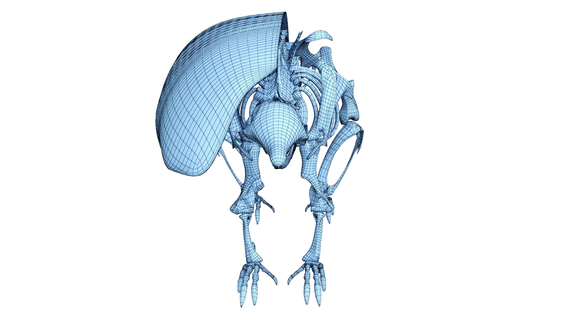 3D 9 armadillo bison https://p.turbosquid.com/ts-thumb/Qt/bouK5S/JZKG0qd9/net5/jpg/1547136541/1920x1080/fit_q87/cc66d8e118ca31cacf597b1144ed1ad00bfdca09/net5.jpg
