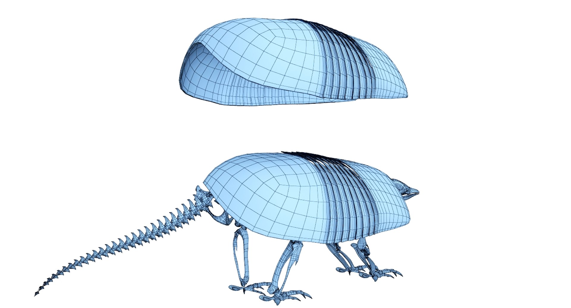 3D 9 armadillo bison https://p.turbosquid.com/ts-thumb/Qt/bouK5S/K8uCgOOR/net1/jpg/1547136541/1920x1080/fit_q87/444c6bd4dbf20f7844c748b842fb5ecddf4ac48a/net1.jpg
