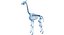 Animal Skeleton 9 in 1