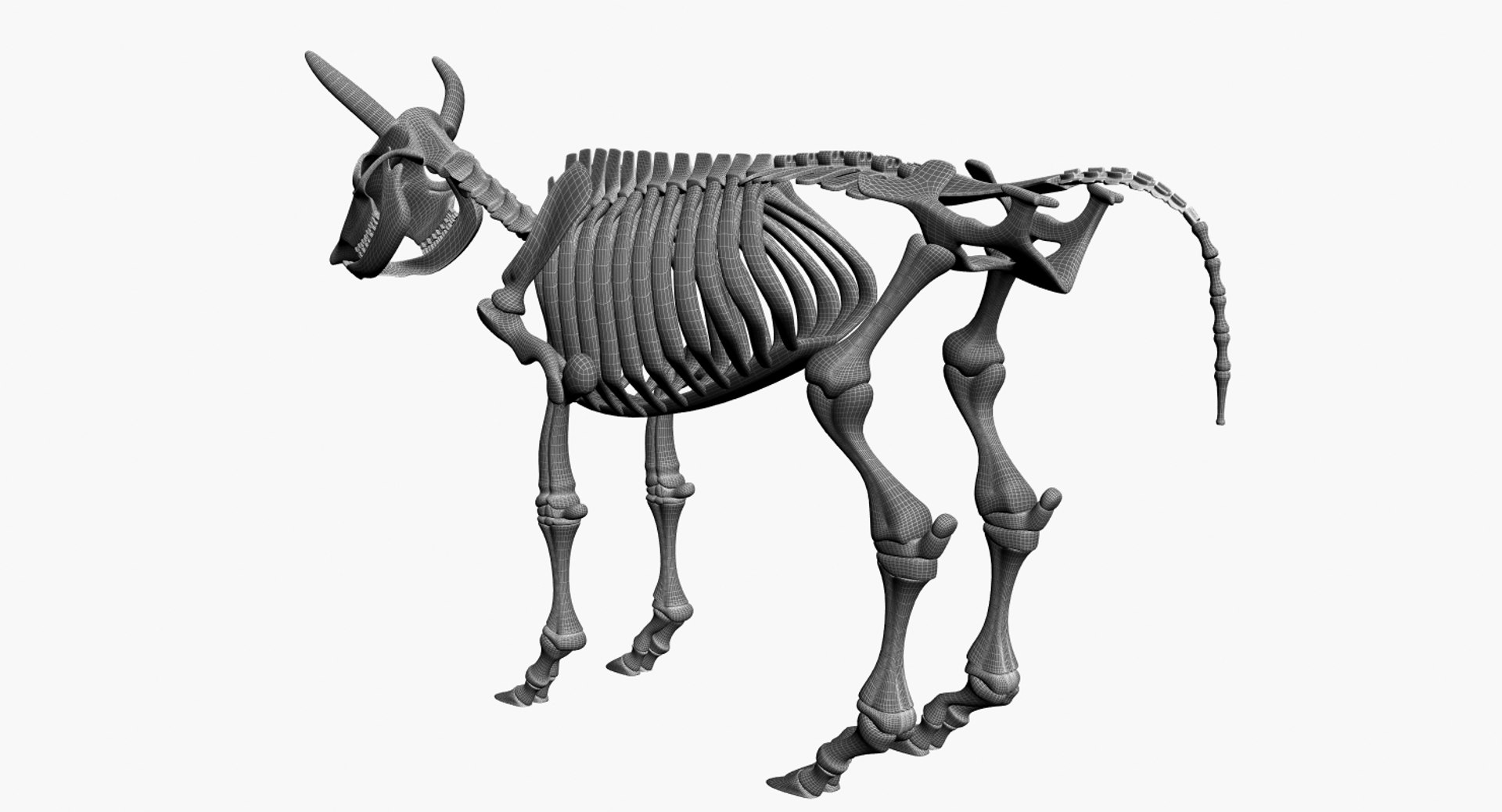 3D 9 armadillo bison https://p.turbosquid.com/ts-thumb/Qt/bouK5S/QFtXhVlB/4/jpg/1547136490/1920x1080/fit_q87/1644bf25b37c2577fa328b1d4351ad2f11370899/4.jpg