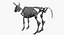 Animal Skeleton 9 in 1