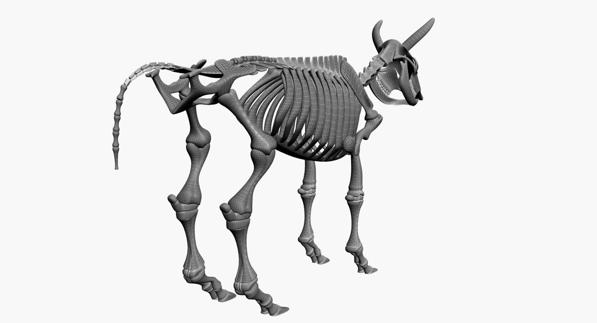 3D 9 armadillo bison https://p.turbosquid.com/ts-thumb/Qt/bouK5S/TdrcNkxM/5/jpg/1547136490/1920x1080/fit_q87/dd032712b8e84f50d9803d107f85e27936aabfff/5.jpg
